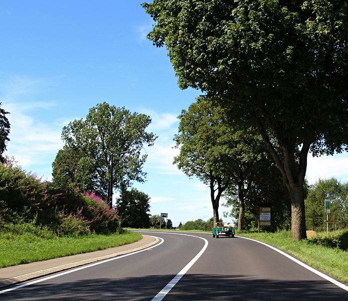 De Romantische Rijn, dag 4, 7-8-2016 (198).JPG
